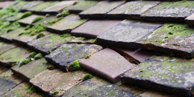 Shalstone roof repair costs